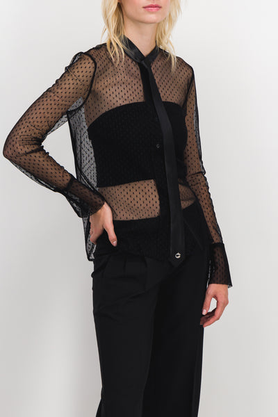 Sheer tie neck blouse